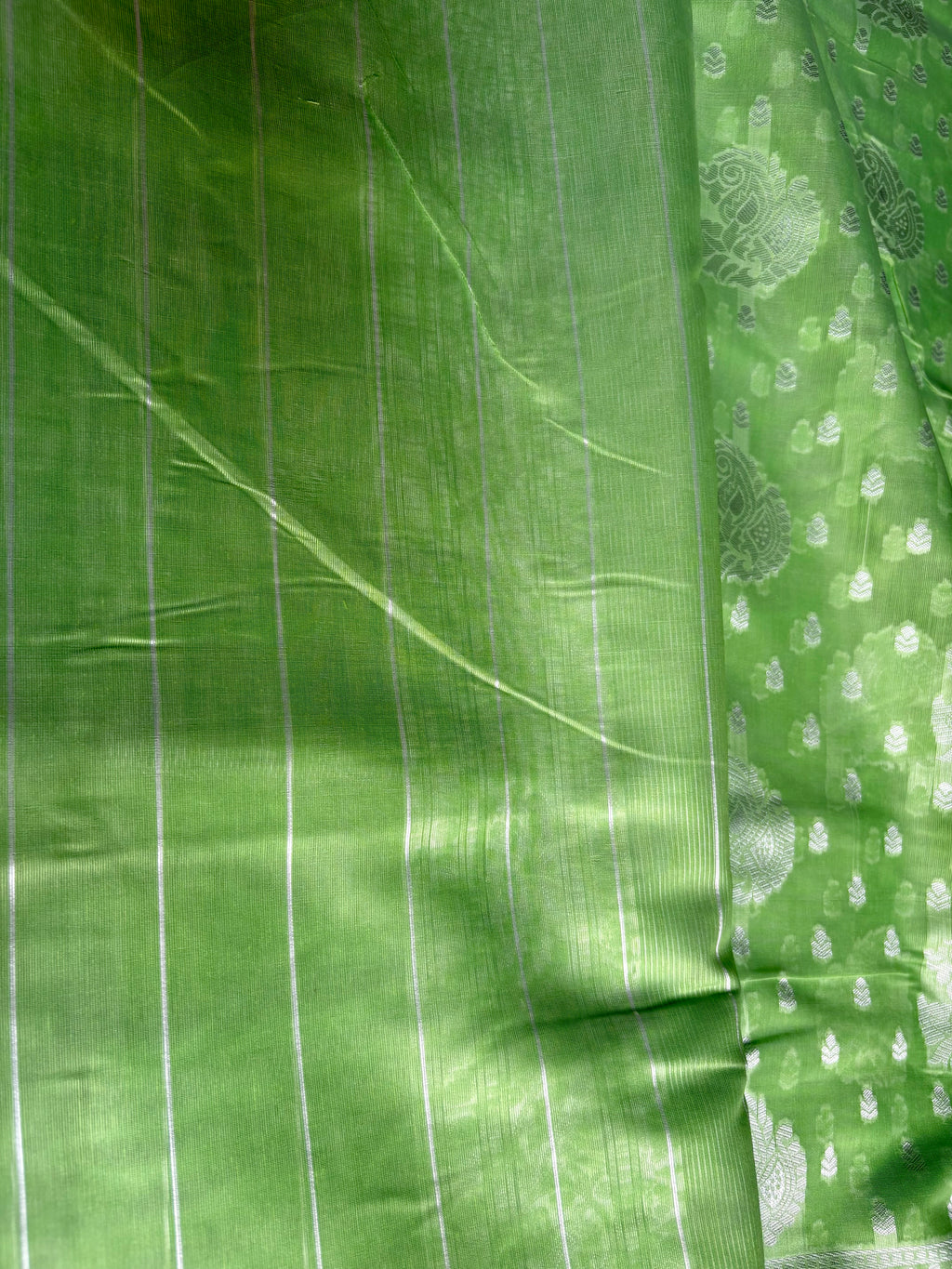 Elegant parrot green saree featuring intricate silver motifs and delicate buttas throughout with silver border
