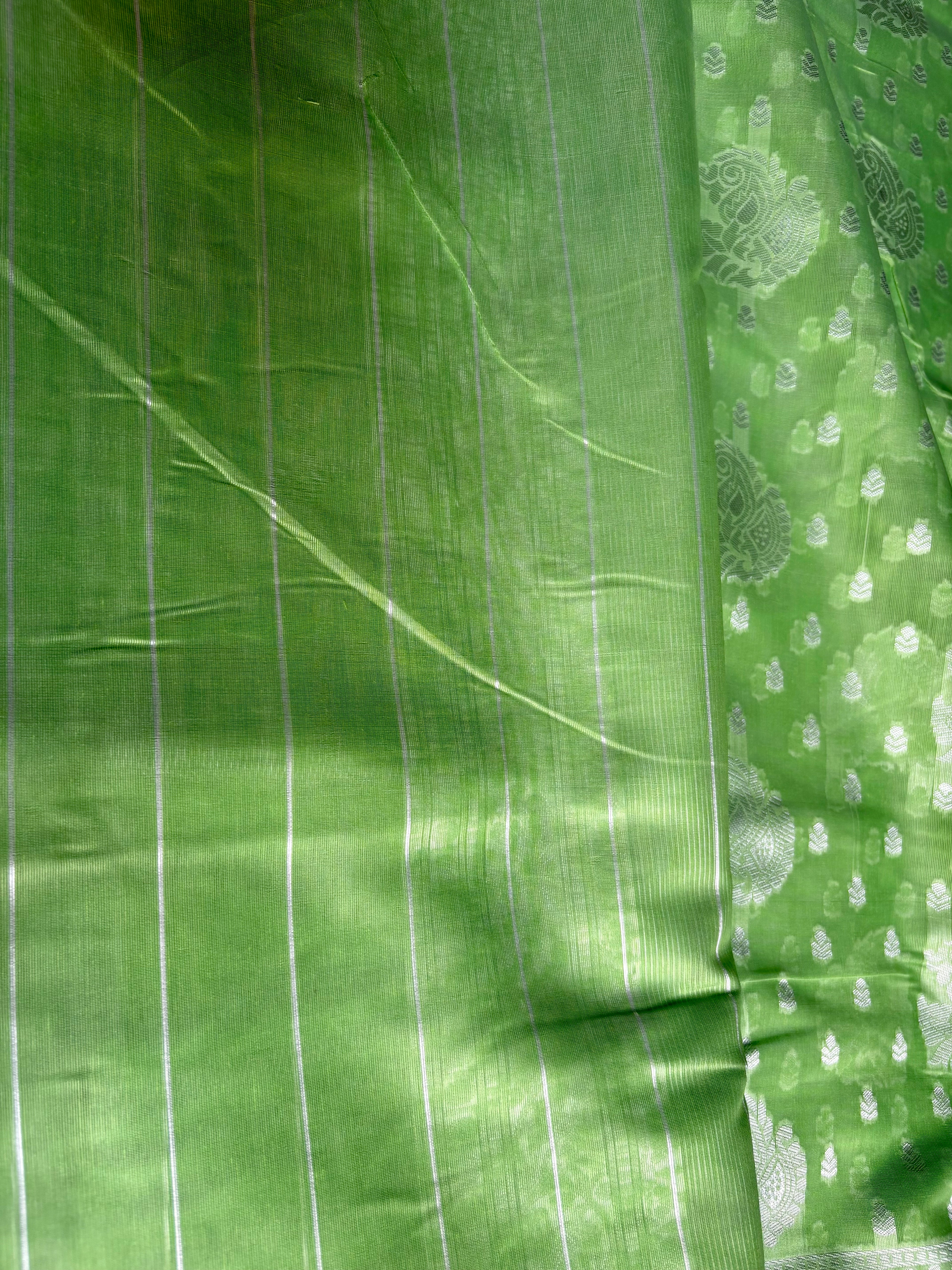 Elegant parrot green saree featuring intricate silver motifs and delicate buttas throughout with silver border